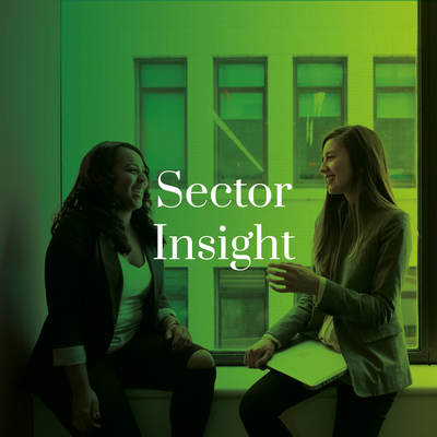 Two people meeting with the word sector insight layered over top.