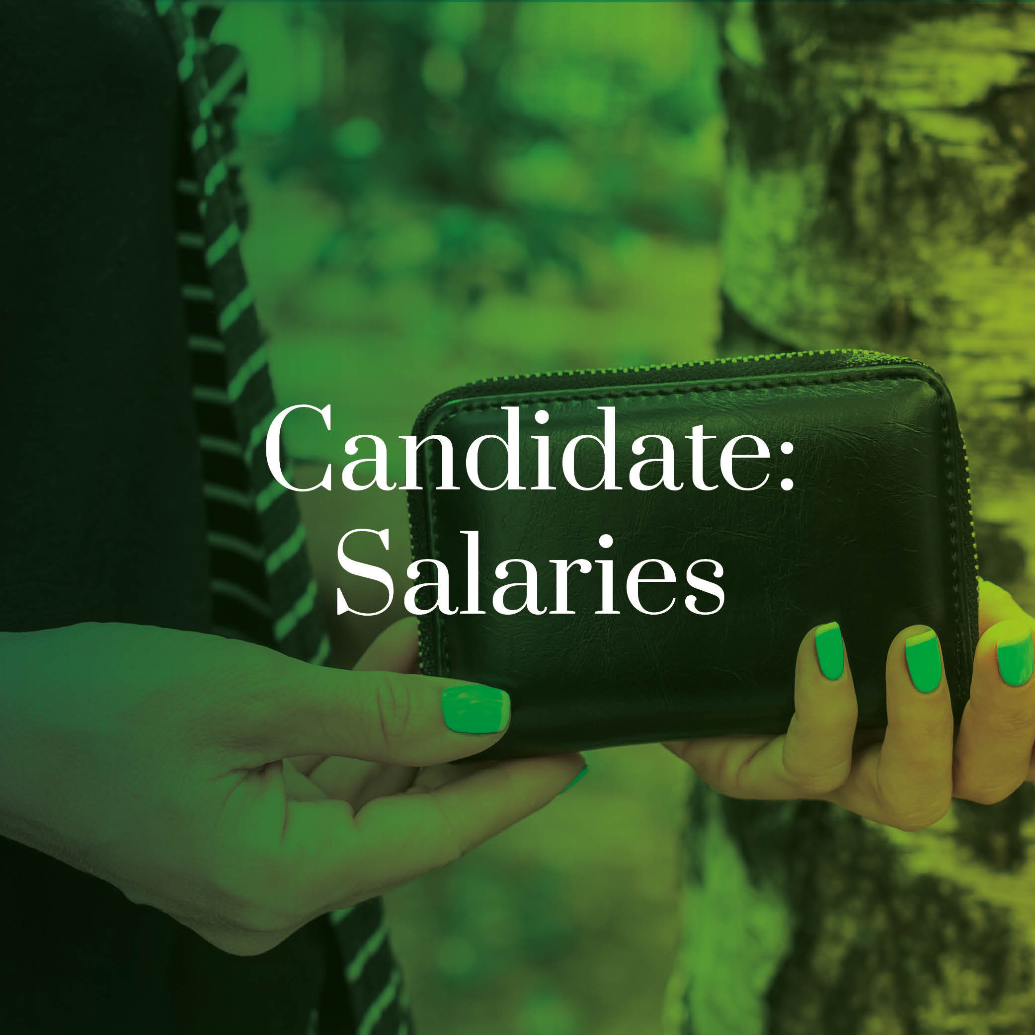 Candidate salaries - image showing purse being held