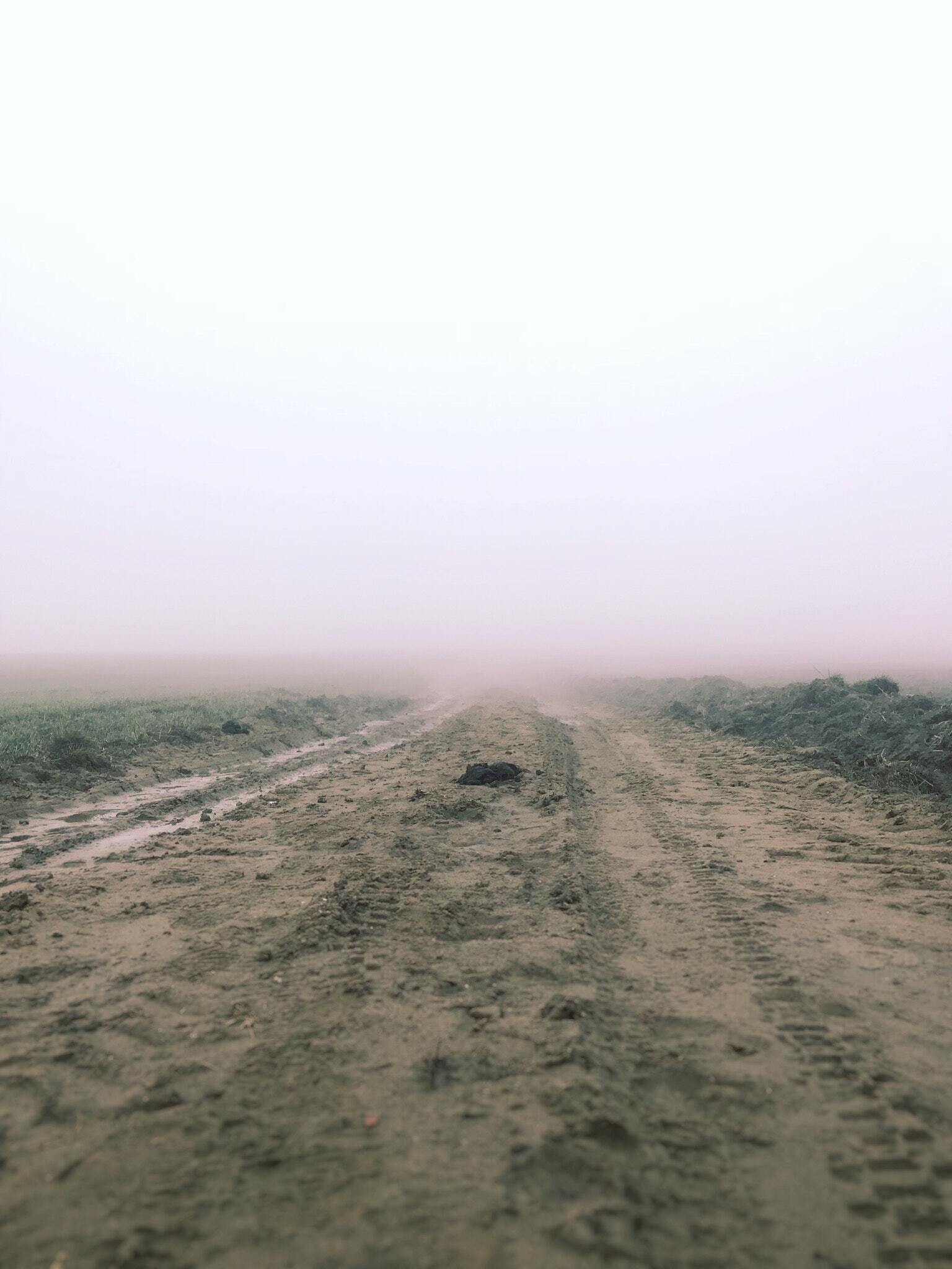 Foggy Road 701447